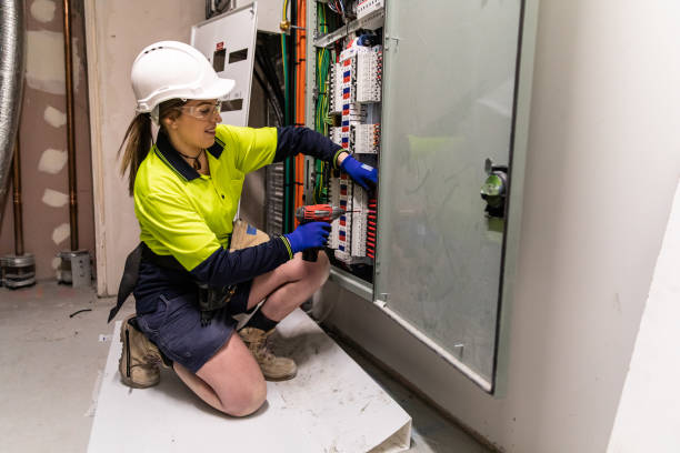 Best Electric Panel Repair  in Willow Grove, TX